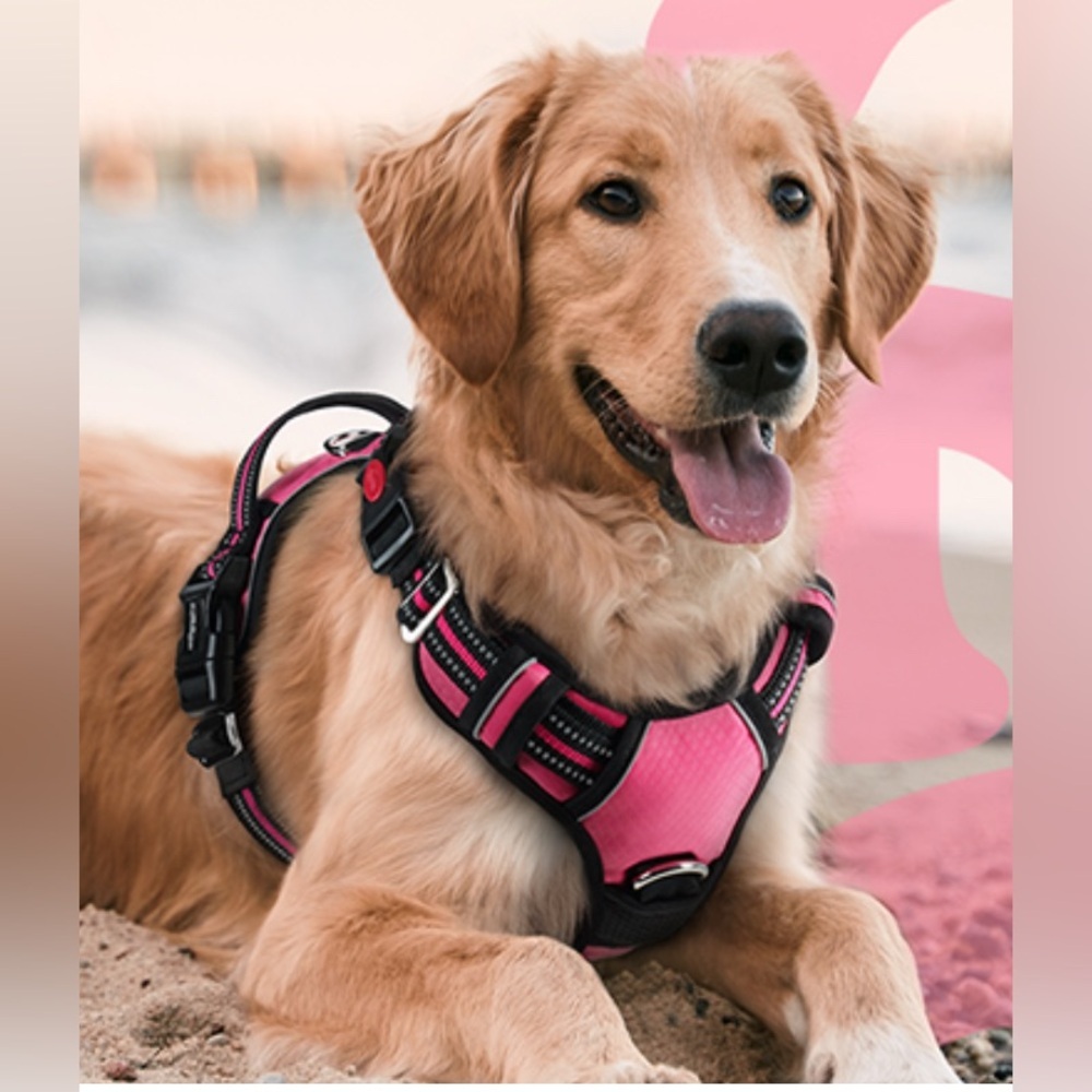 New MASBRILL medium adjustable
No Pull dog Safety‎ Buckled 
Padded Harness